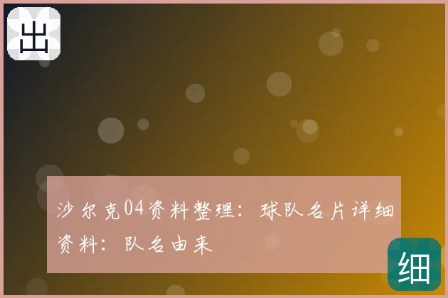 沙尔克04资料整理：球队名片详细资料：队名由来